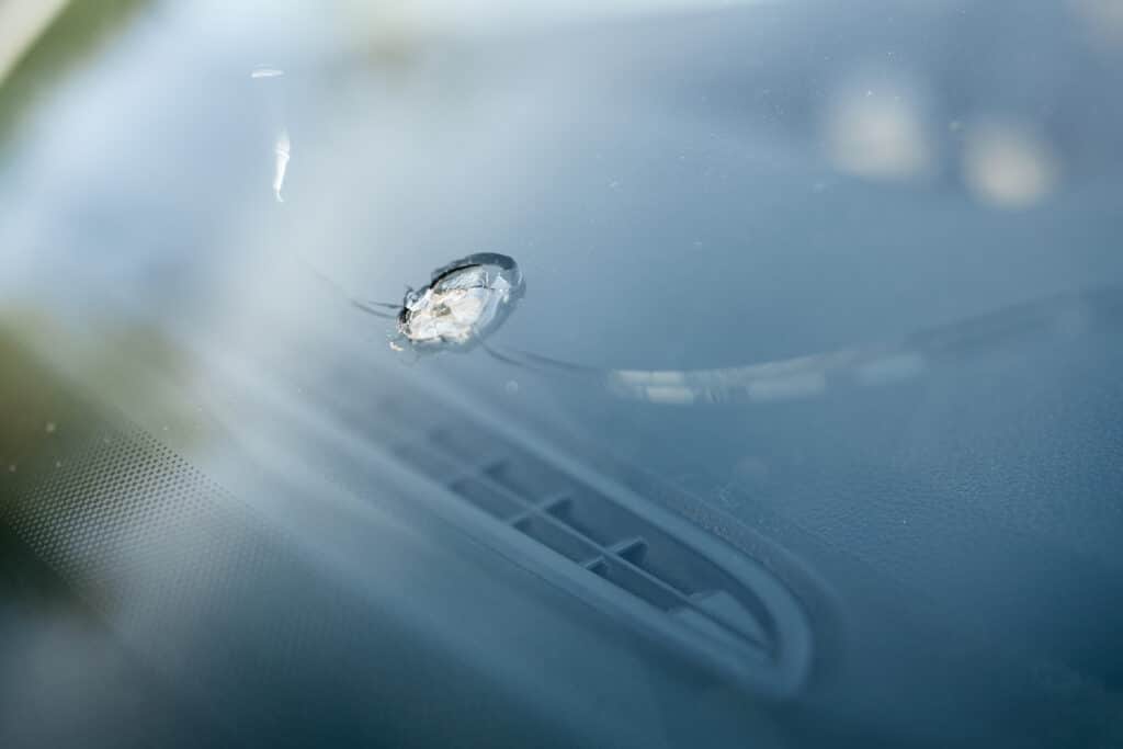 windshield glass repair